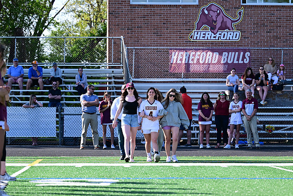 Hereford0345