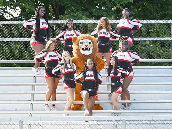 Lions-00732