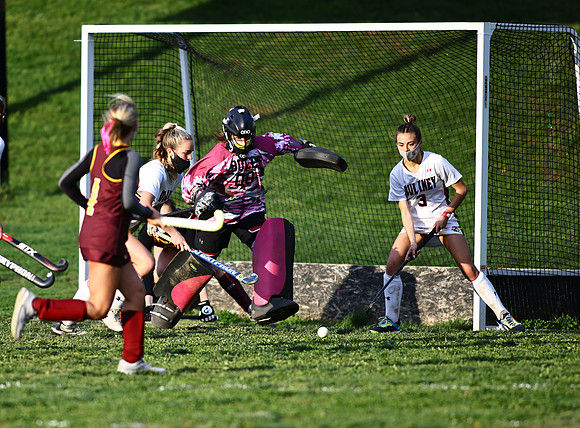 Dulaney-v-Hereford589
