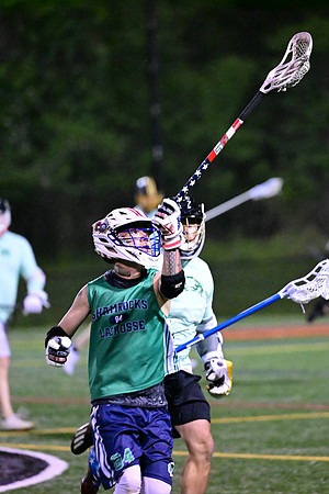 MdLax0699