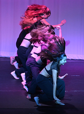 HerefordSpringDance2025-8021