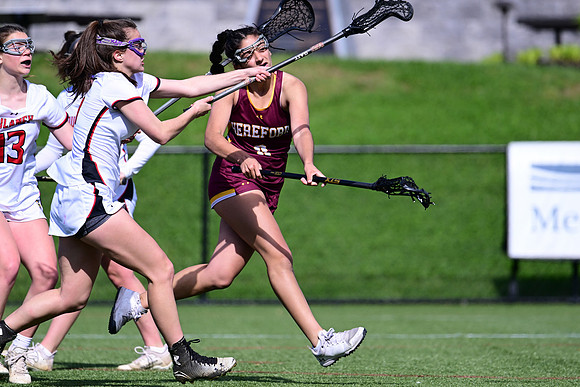 Hereford-v-Dulaney1781