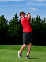 JCB_4376