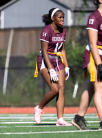 Towson2733