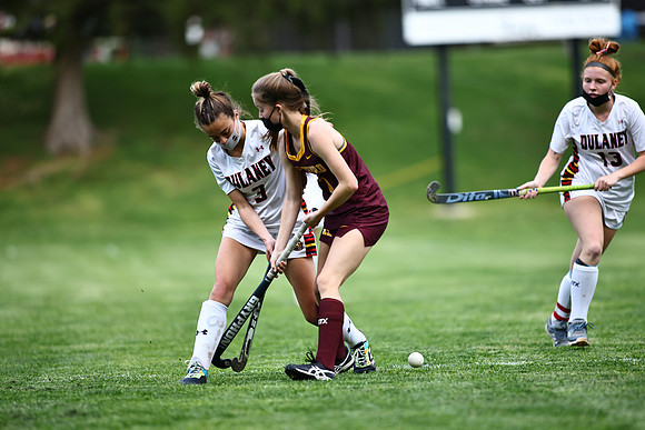 Dulaney-v-Hereford270