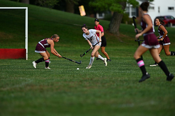 Dulaney-v-Towson-04026