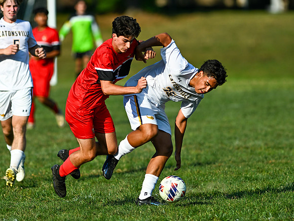Lions-01383