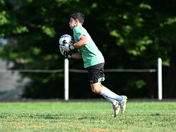 Lions-01120