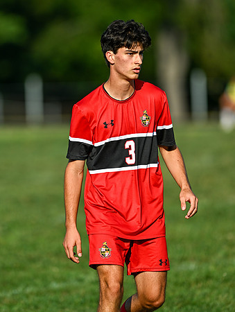 Lions-01342
