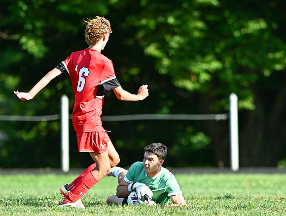 Lions-01154