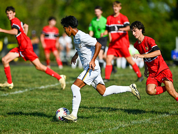 Lions-00564
