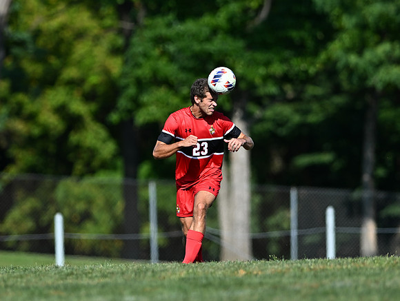 Lions-00298