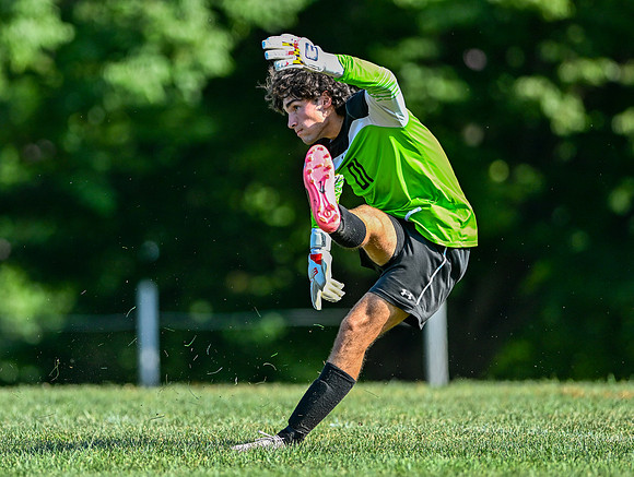 Lions-00212