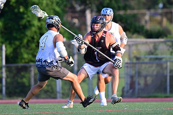 MDLL-UMBC-00075