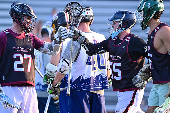 MDLL-UMBC-00134
