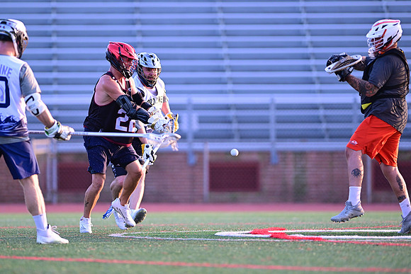 MDLL-UMBC-00154