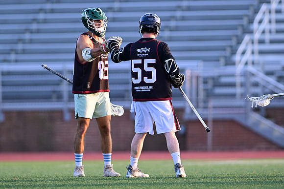 MDLL-UMBC-00195