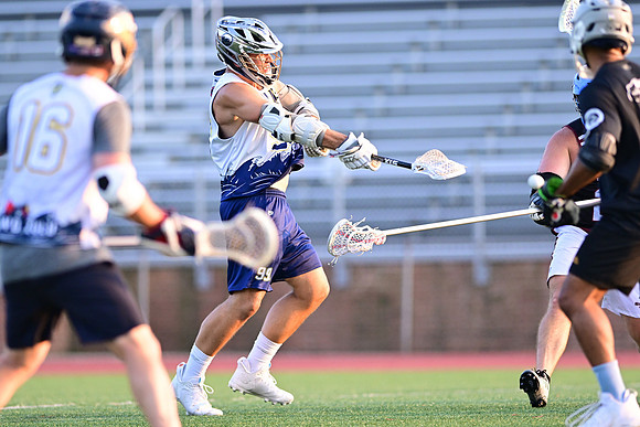 MDLL-UMBC-00227