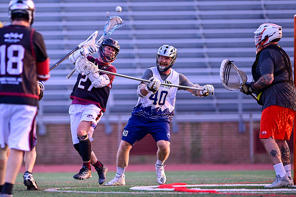 MDLL-UMBC-00494