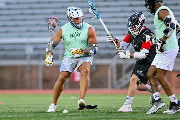 MDLL-UMBC-00690