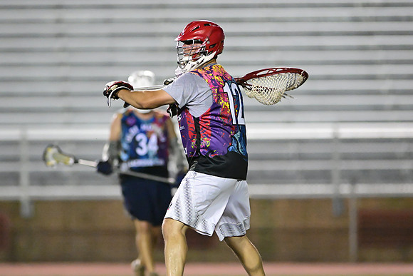MDLL-UMBC-01100