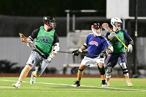 MDLL-UMBC-01170