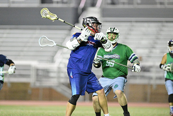 MDLL-UMBC-01206