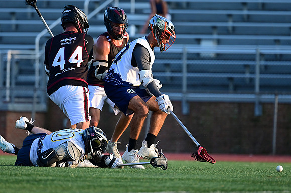 MDLL-UMBC-01485