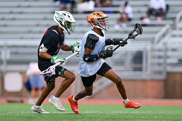 MDLL-UMBC-00011