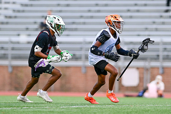 MDLL-UMBC-00031