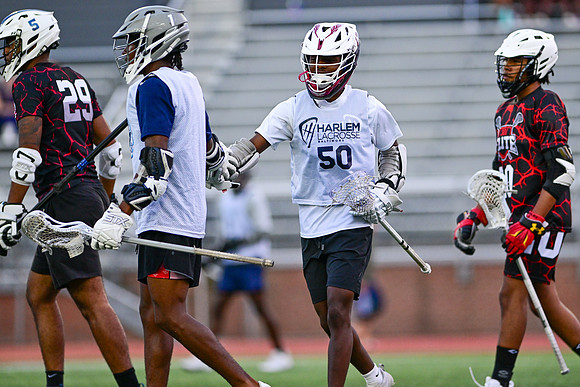 MDLL-UMBC-00110