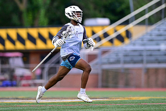 MDLL-UMBC-00136