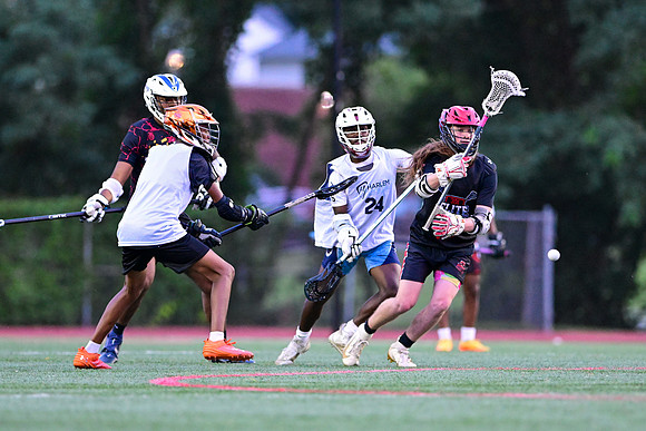 MDLL-UMBC-00164