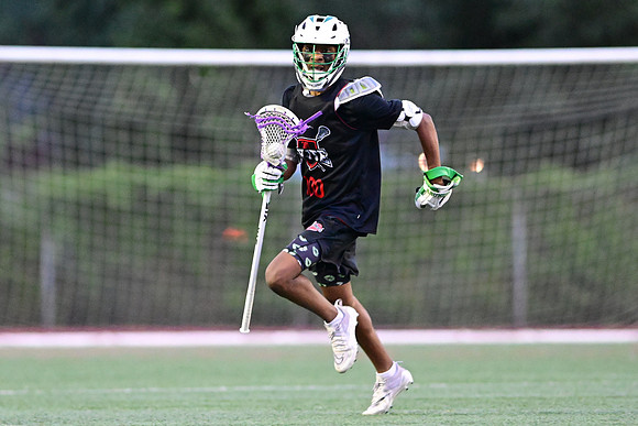 MDLL-UMBC-00222