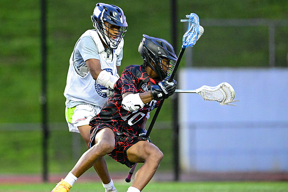 MDLL-UMBC-00310