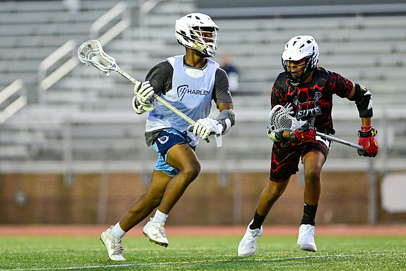 MDLL-UMBC-00356