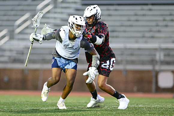 MDLL-UMBC-00390