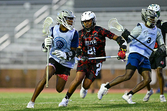 MDLL-UMBC-00426