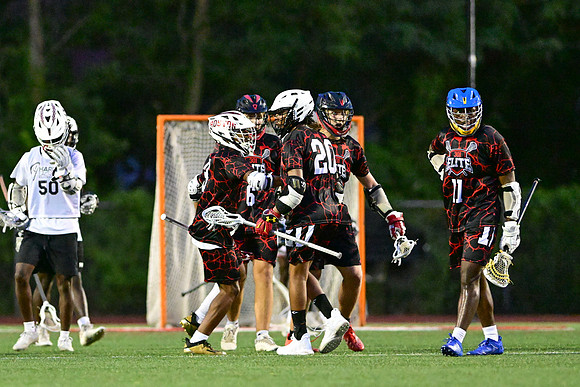 MDLL-UMBC-00540