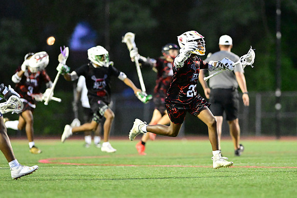 MDLL-UMBC-00553
