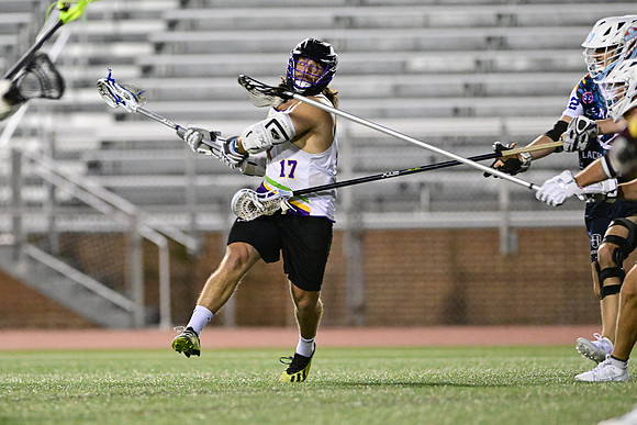 MDLL-UMBC-00719