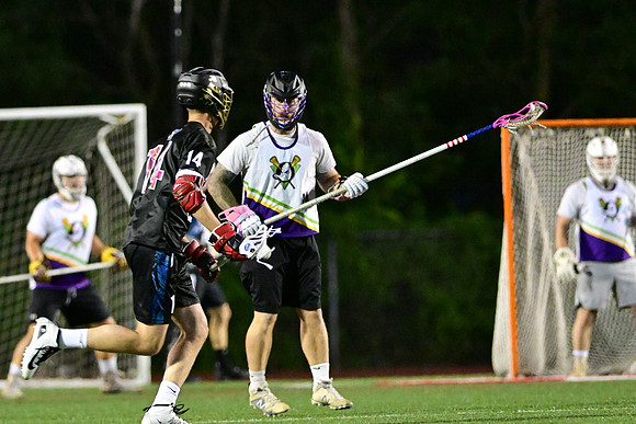MDLL-UMBC-00725