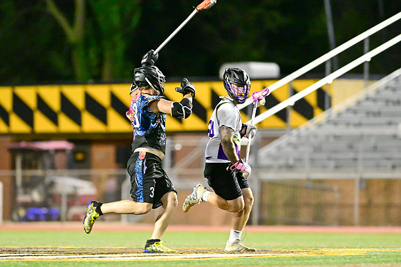 MDLL-UMBC-00740