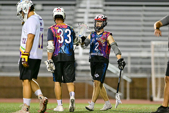 MDLL-UMBC-00913