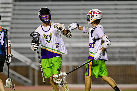 MDLL-UMBC-01028