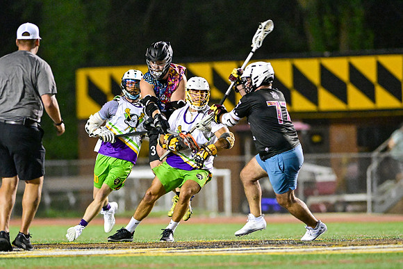 MDLL-UMBC-01042