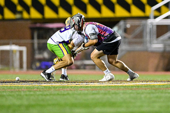 MDLL-UMBC-01100