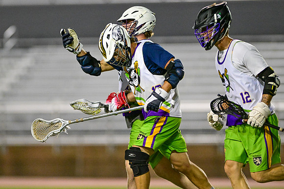 MDLL-UMBC-01166