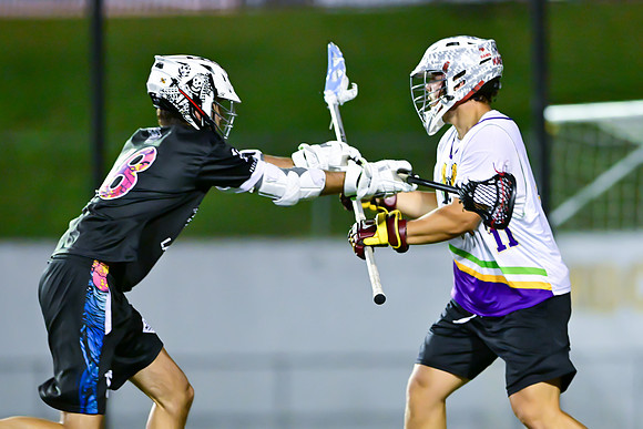 MDLL-UMBC-01236