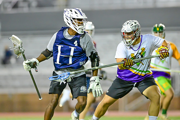 MDLL-UMBC-01255